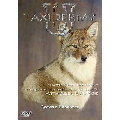 DVD-Introduction to Coyote Taxidermy (by Taxidermy University)