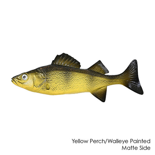 Reproduction Chase Fish