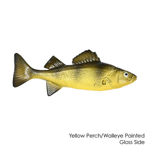 Reproduction Chase Fish