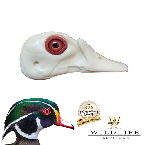 Bird Heads | With Eye & Eye Rings by Wildlife Illusions