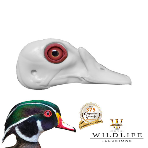 Bird Heads | With Eye & Eye Rings by Wildlife Illusions