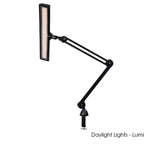 Daylight Lights - Lumi