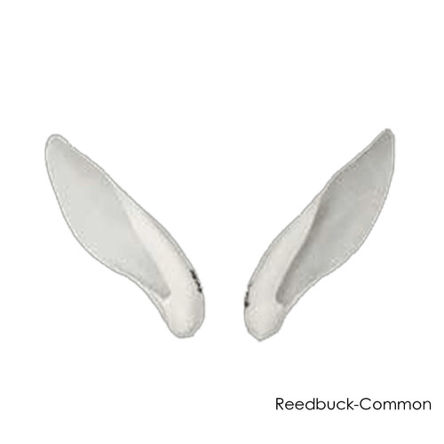 Earliners | Fabric African and Exotic (by Trademark)