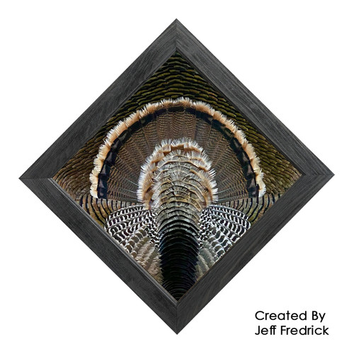 Feather Art Frames (by Jeff Fredrick)