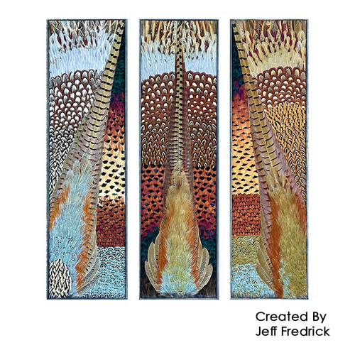 Feather Art Frames (by Jeff Fredrick)