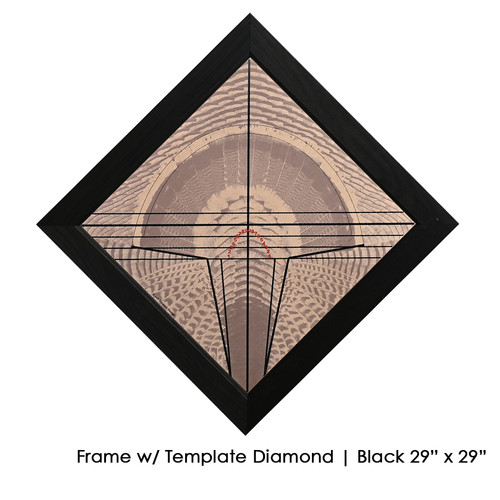 Feather Art Frames (by Jeff Fredrick)