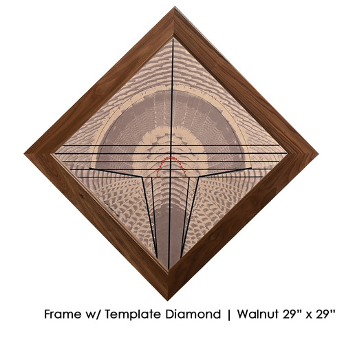 Feather Art Frames (by Jeff Fredrick)