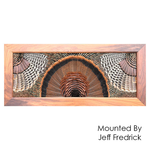Feather Art Frames (by Jeff Fredrick)