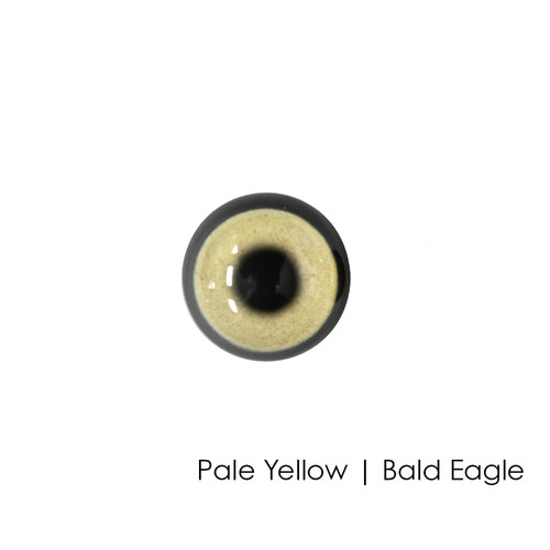 Eyes | Bird (Superior Acrylic)