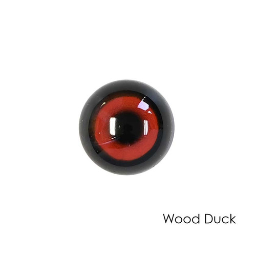 Eyes | Bird (Superior Acrylic)