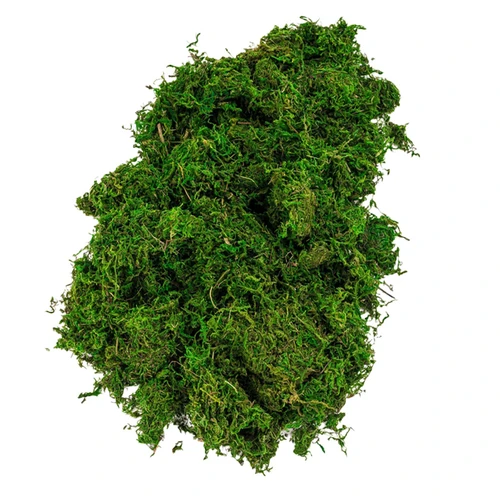 Stone Moss