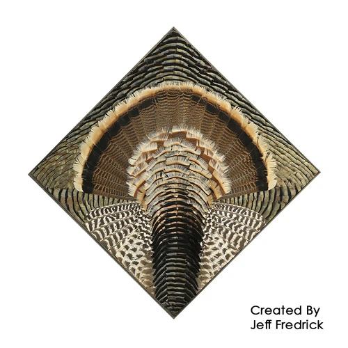 Feather Art Templates (by Jeff Fredrick)