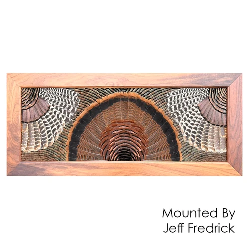 Feather Art Templates (by Jeff Fredrick)