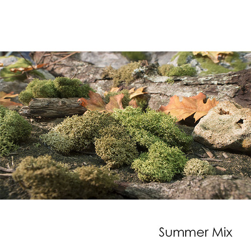 Lichen (by Scenes-n-Nature)