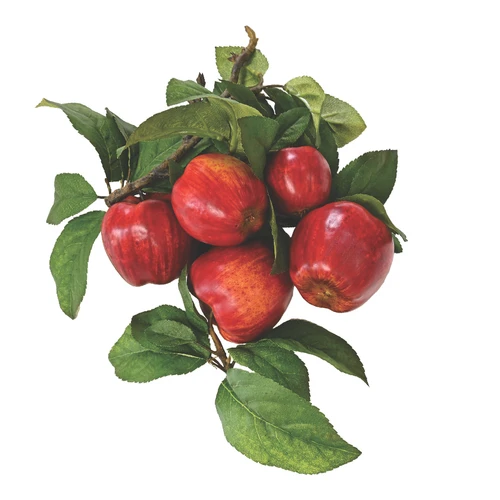 Red Apples (5 pc)