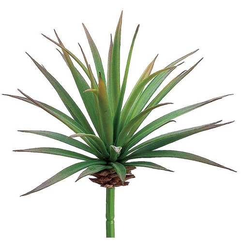 Desert Yucca Plant (6.5")