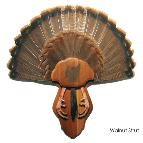 Panels | Tail, Feet & Beard (Strut)