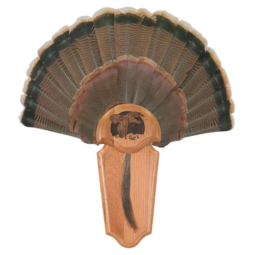 Panels-Turkey Kit