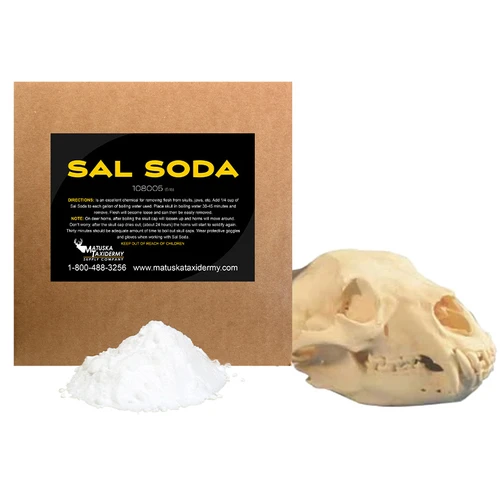Sal Soda (Soda Ash)