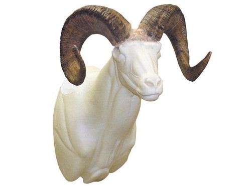 Sheep-Dall (Semi-Upright)