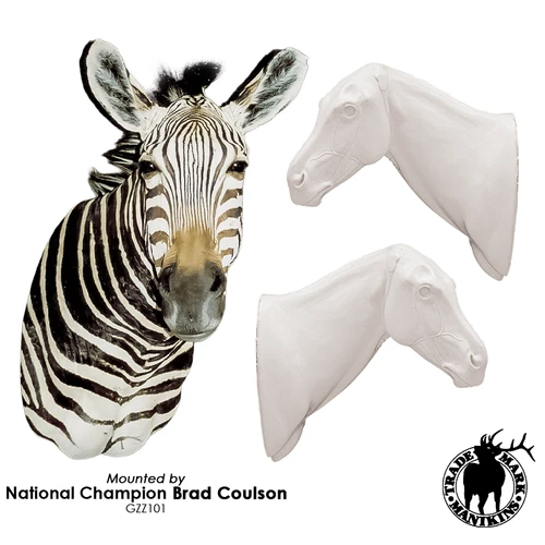 Zebra (Semi-Upright)