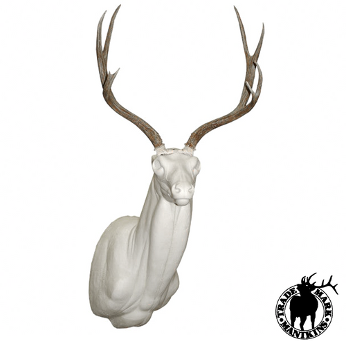 Mule Deer | GZ (Upright)