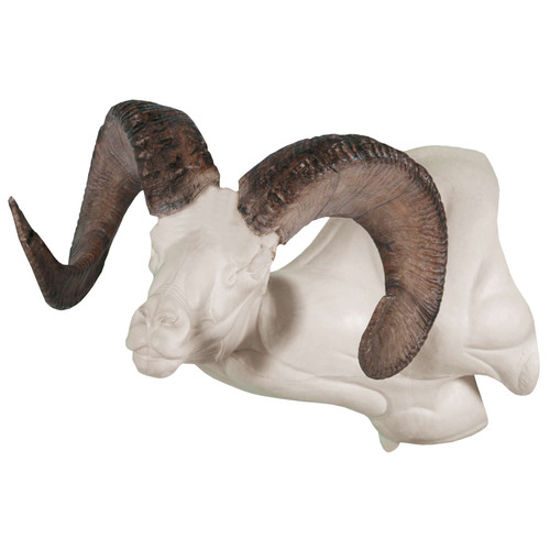 Sheep-Rocky Mountain Bighorn