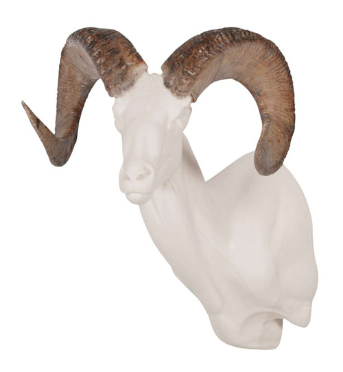 Sheep-Rocky Mountain Bighorn