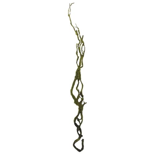 Vine