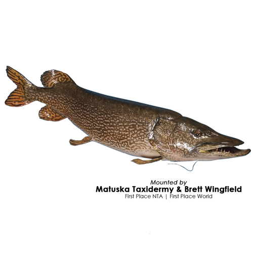 Fish On Fish Form | Muskie