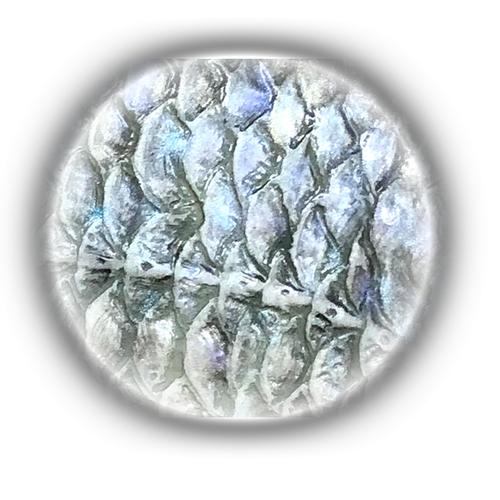 Pearl Ex Powder Kit - Series 1