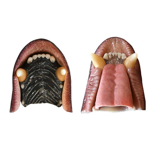 Bear-Black Detailed Mouth Cups by MOHR