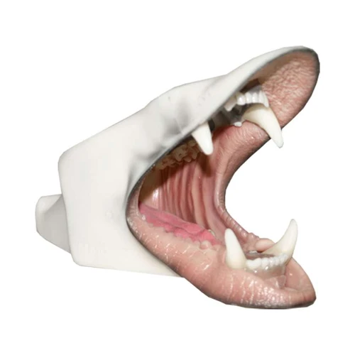 Bear-Black Detailed Mouth Cups by MOHR