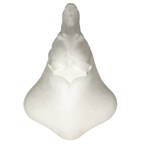 Bear | Black (Closed Mouth Rugshell)