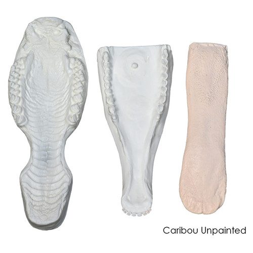 Jawsets by Brian Olson