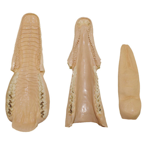 Jawsets by Brian Olson