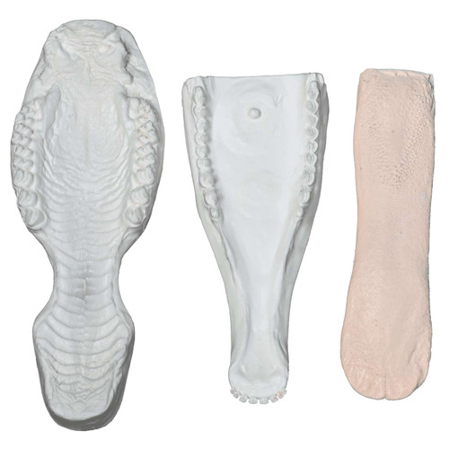 Jawsets by Brian Olson