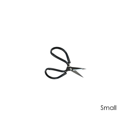 Shears | Taxidermy