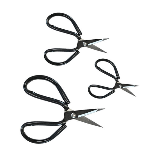 Shears | Taxidermy