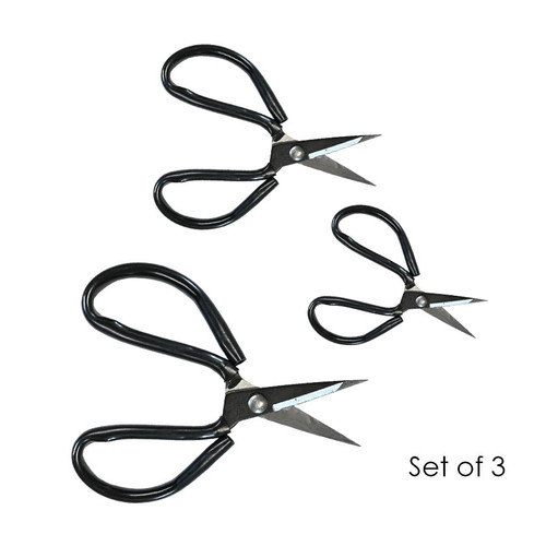 Shears | Taxidermy