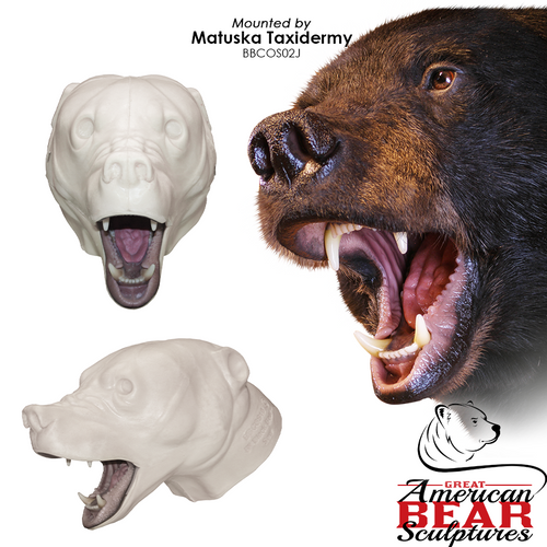 Bear | Black (Snarling)