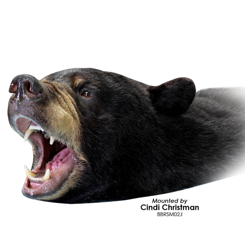 Bear | Black (Snarling Rugshell)