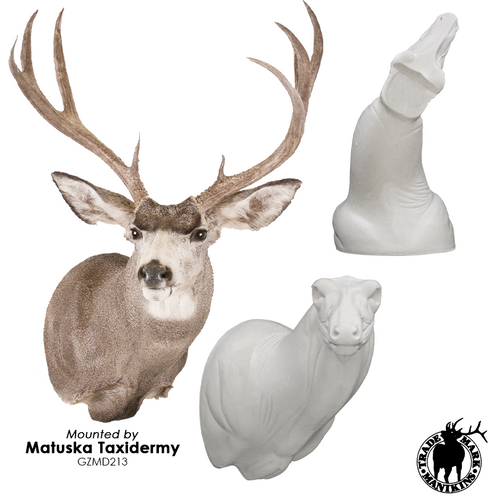 Mule Deer | GZ (Semi-Sneak )