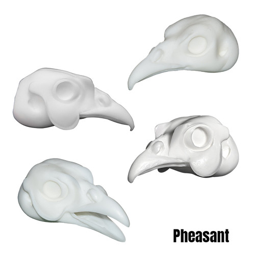 Bird Heads | DIY by Wildlife Illusions