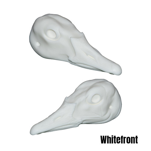 Bird Heads | DIY by Wildlife Illusions