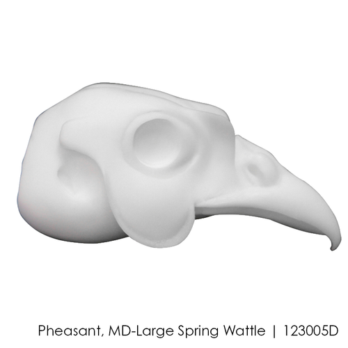 Bird Heads | DIY by Wildlife Illusions