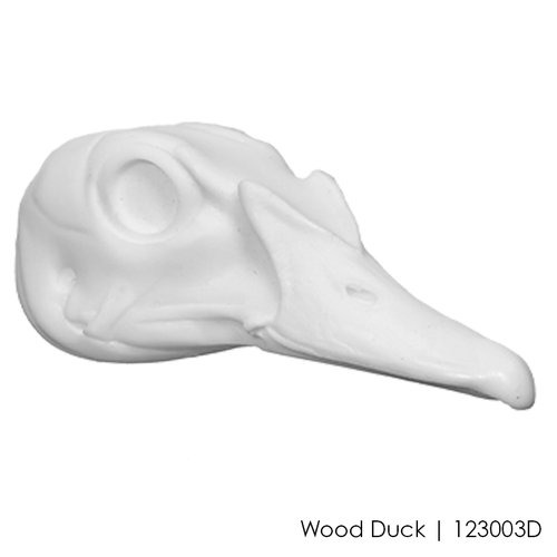 Bird Heads | DIY by Wildlife Illusions