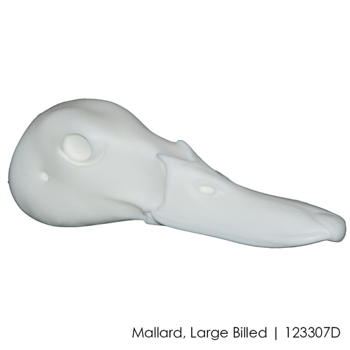 Bird Heads | DIY by Wildlife Illusions