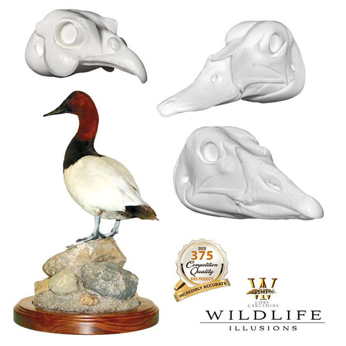 Bird Heads | DIY by Wildlife Illusions