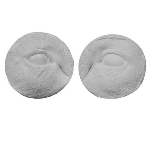 Reference Casts-Whitetail Eye